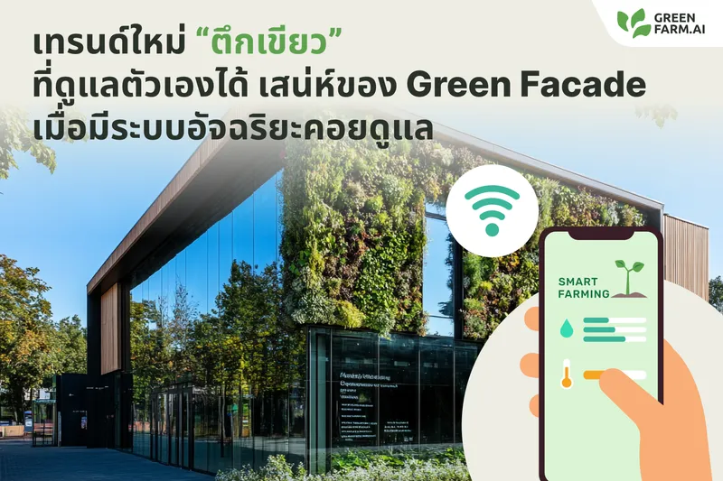 เทรนด์ใหม่ “ตึกเขียว” ที่ดูแลตัวเองได้ เสน่ห์ของ Green Facade เมื่อมีระบบอัจฉริยะคอยดูแล