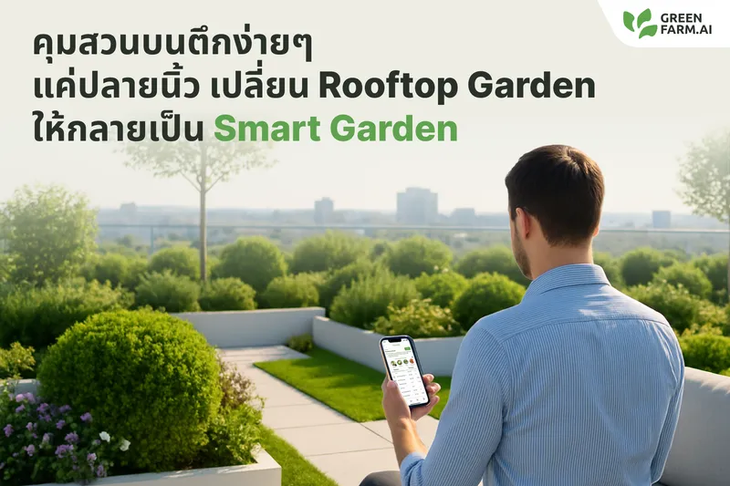 คุมสวนบนตึกง่าย ๆ แค่ปลายนิ้ว เปลี่ยน Rooftop Garden ให้กลายเป็น Smart Garden