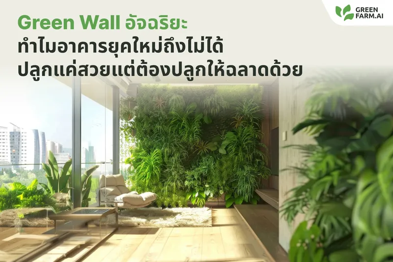 Green Wall อัจฉริยะ ทำไมอาคารยุคใหม่ถึงไม่ได้ปลูกแค่สวย แต่ต้องปลูกให้ฉลาดด้วย