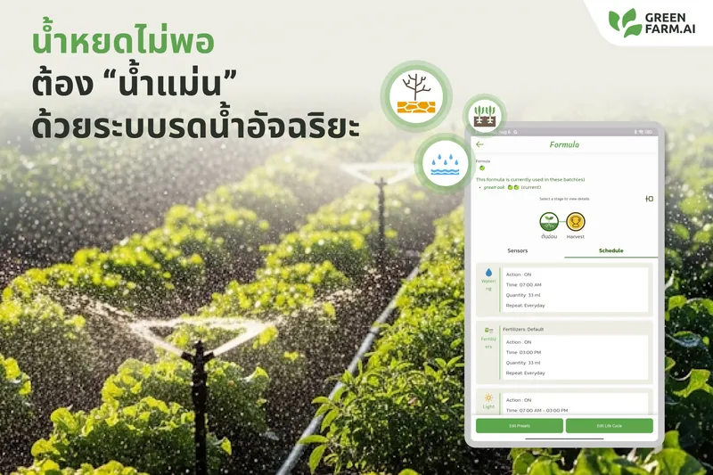 น้ำหยดไม่พอ ต้อง “น้ำแม่น” ด้วยระบบรดน้ำอัจฉริยะ