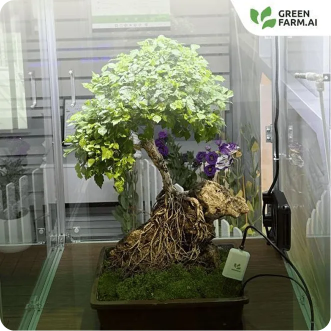 Smart Farm